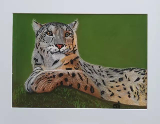 Snow Leopard Original Pastel Painting on Pastelmat Paper
