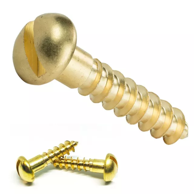 Tapping Self Drilling Slotted Drive Round Head Minus Solid Brass Wood Screws