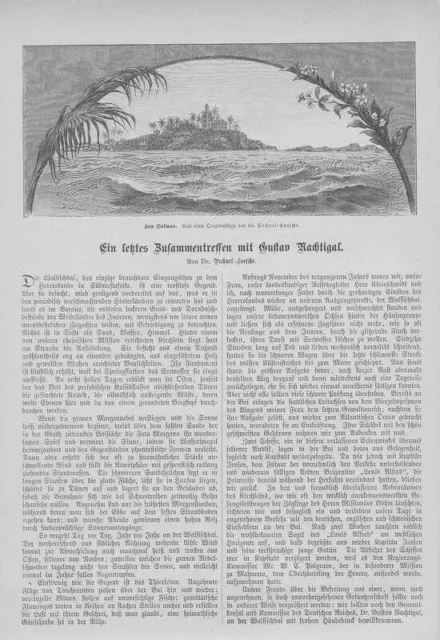 Deutsch-Südwestafrika Gustav Nachtigal Walfischbai Zeitungsartikel von 1885
