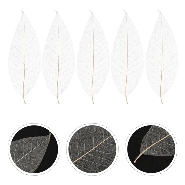 100 Pcs Bambus Trockenblumen Zur Dekoration Skelettblätter Natürlich