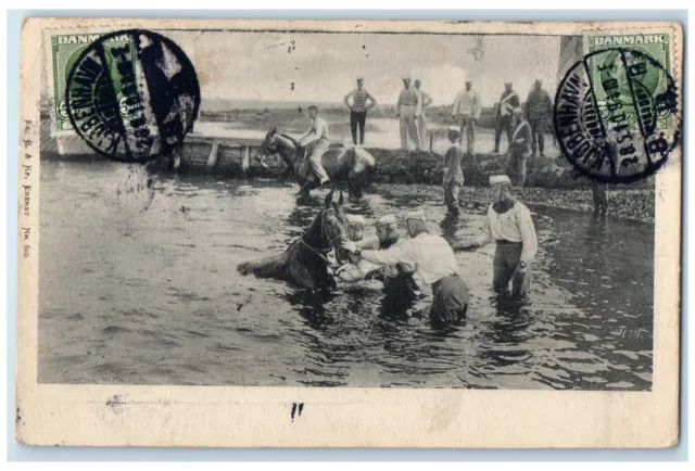 1910 Horse Training Bathing Copenhagen Denmark Antique Posted Postcard