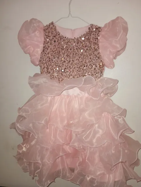 Pink Flower Girl Party Wedding Christmas Pageant Dress Ruffles Squins 4 - 5