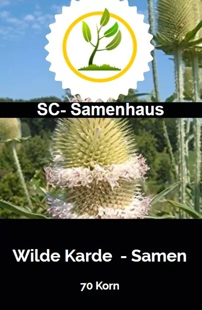 Wilde Karde Dipsacus fullonum 70 Samen