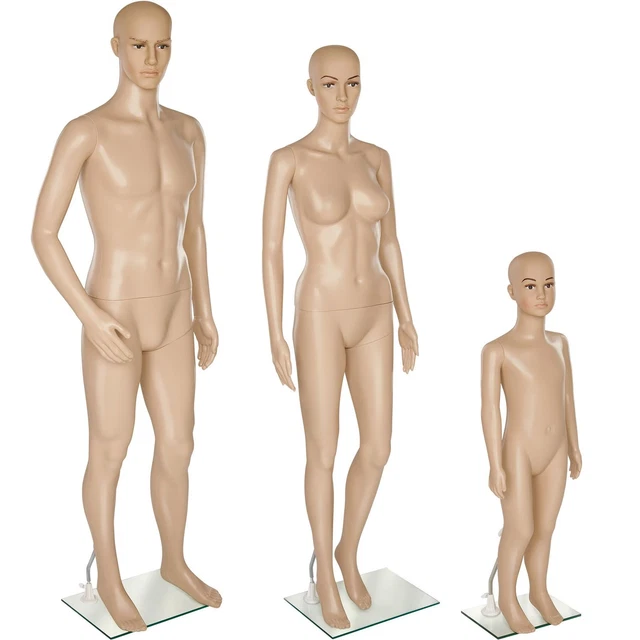 Schaufensterpuppe Oberkörper Damen (Gebraucht) In Rothrist Für CHF 15
