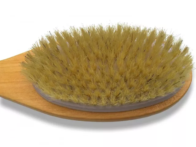 Smooth Skin Natural Bristle Bath Brush 2-in-1 Exfoliating Body Reduces Cellulite 3