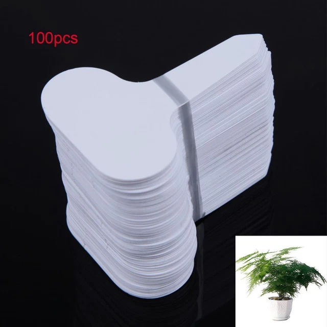Yard Dick Flor Blanca Día de Planta de Plástico Marca Tipo T Etiqueta de Jardinería