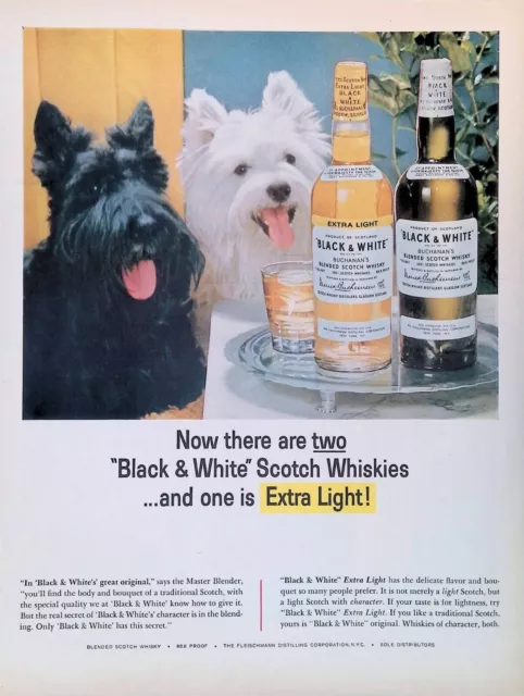 Vintage Print Ad 1970's Scottish Terrier Black & White Buchanon's Scoth Whiskey