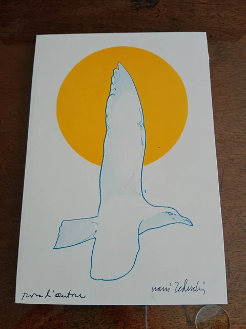 Cartolina A.I.C.S. Nanni Tedeschi Autografo dell'autore Natura Gabbiano