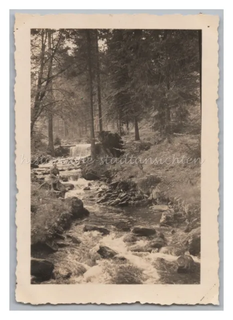 Seebach Seebachschleife 1940 - Fluß Wald Bach Landschaft - Altes Foto