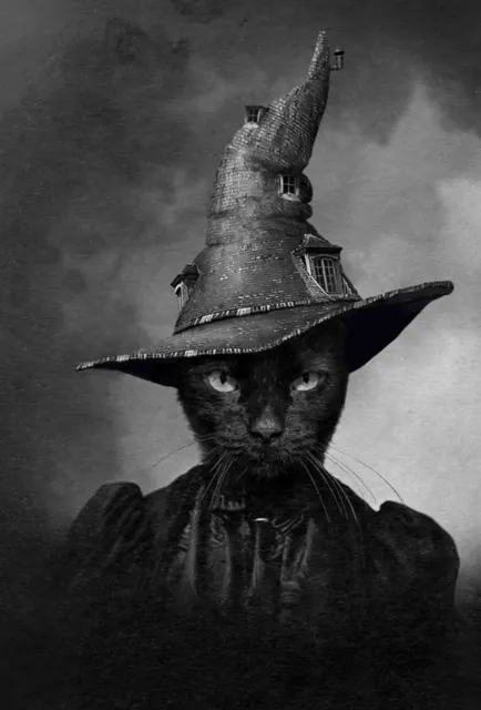 Vintage Halloween Witch Cat Photo 1442 Oddleys Strange & Bizarre
