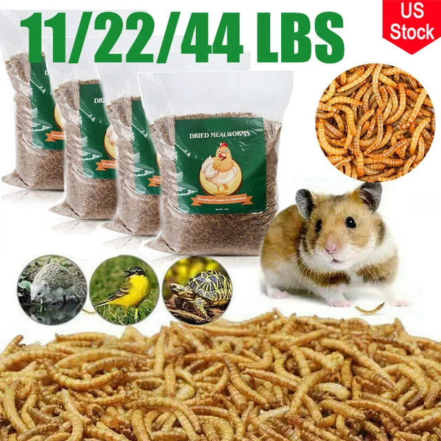 DRIED MEALWORMS NONGMO for Birds, Reptiles,Chickens,Pond and Koi Fish