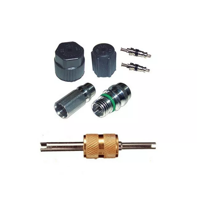 AC System Valve Core and Cap + Schrader Remover Kit fit Ford Aerostar MT2907