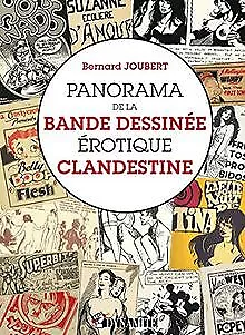 Panorama de la bande dessinée érotique clandestine de... | Livre | état très bon