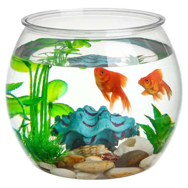 2 Pack Fish Living Tank Small Clear Keeper Betta Bowl Office Bubble