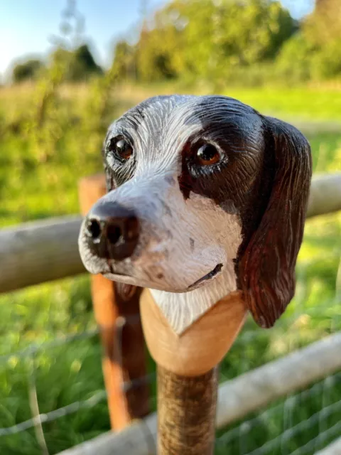 Hand Carved Spaniel Head in Lime wood Country Walking stick on Hazel Shank