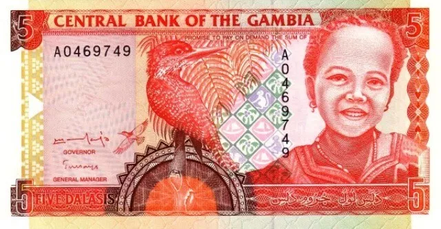 Gambie - Gambia 1996 billet neuf de 5 dalasis pick 16 UNC