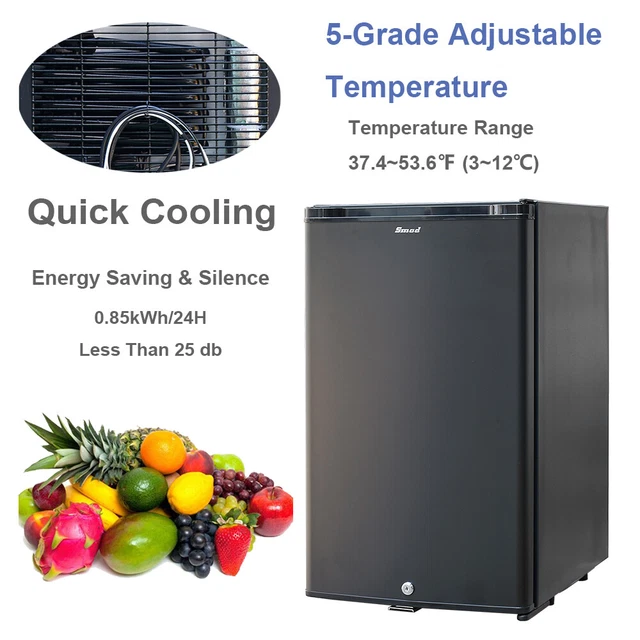 MINI RV REFRIGERATOR 12V Semi Truck Fridge AC DC Compact Silent Cooler