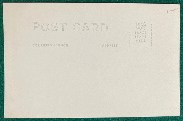Tulip Fields Holland Michigan Dutch Kids Real Photo Postcard RPPC MI 1930's 2