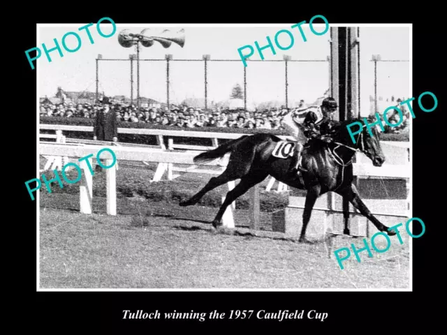 OLD 8x6 HISTORIC HORSE RACING PHOTO OF TULLOCH WINNING THE 1957 CAULFIELD CUP