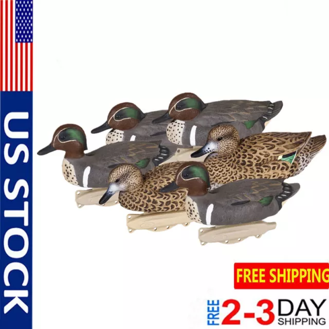 8015SUV Green Wing Teal,10.5 inch, Waterfowl Decoy 6 Pack,Outdoor