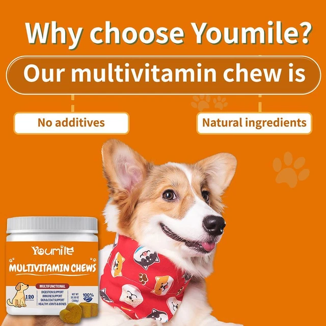 PET VITAMINS MULTI PURPOSE Supplements For Dog Skin And Joint Health pet-vitamins-multi-purpose-supplements-for-dog-skin-and-joint-health