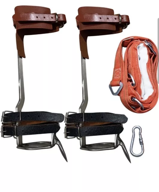 TOMCHY Steel Tree Climbing Spikes Spur Pair Forestry Hunting Lumberjack W/ Belt