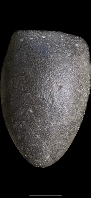 STUNNING Sahara Neolithic Celt/Axe, Prehistoric African Artifact