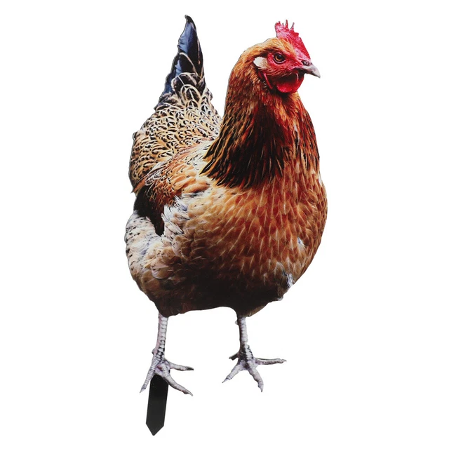 2x Backyard Stake Garden Chicken Stake for Decoration Yard Lawn Garden 3
