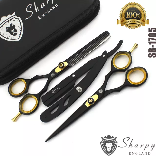 6 Inch Professional Salon Hairdressing Hair Cutting Thinning Barber Scissors Set