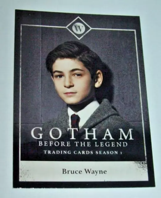 2016 Cryptozoic Gotham Before the Legend Bruce Wayne Character Card