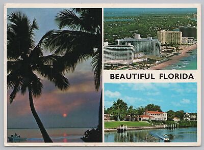 State View~Palms Air View Hotels & Harbor Scene In Florida~Continental Postcard