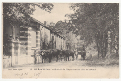 Entrée sur la route de St-Porchaire CPA 17 GEAY Braun n° 1780 