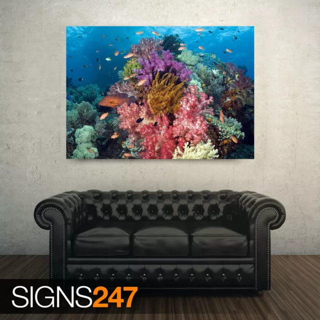 TROPICAL FISH (3446) Animal Poster - Picture Poster Print Art A0 A1 A2 A3 A4 2