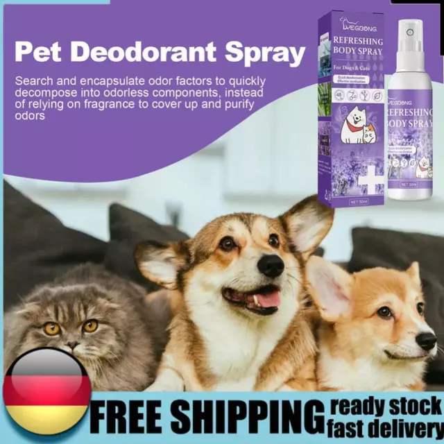 Aceite de lavanda perro desodorante aerosol mascota aerosol refrescante eliminar olor para perros gatos