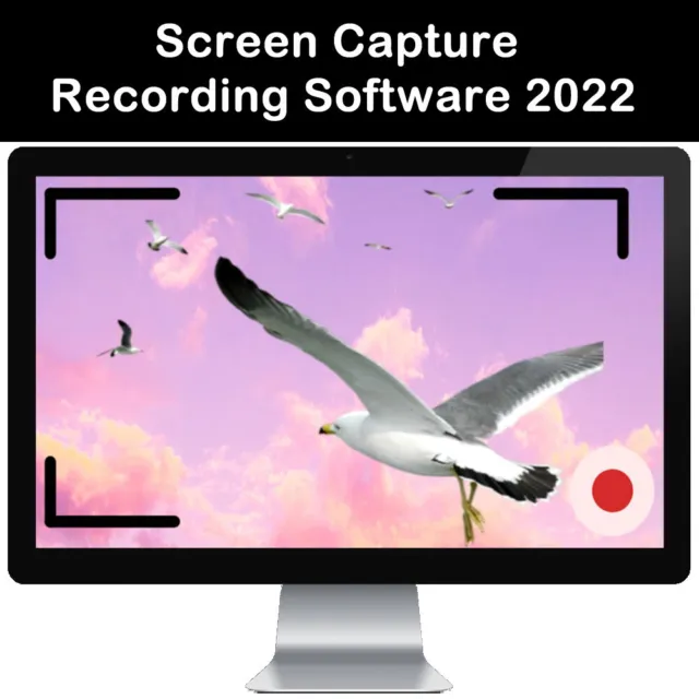 PC Computer Screen capture recorder video Software Stream live or record Win Mac