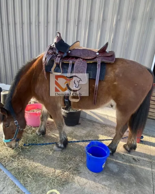 Double Seat Western Horse Saddle  10 Inch Front 15 Inch Back All Sizes