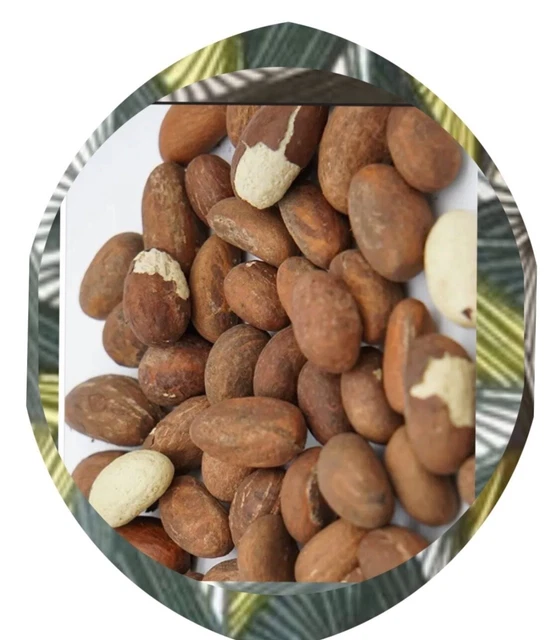 Noix De Petit Cola Fraîche - Stimulant Naturel Digestif (20 Pièces) - PROMO