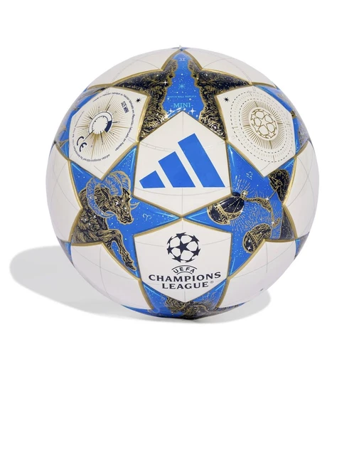 Vitrine Acrylique Pour Mini Ballon De Foot - Base Et Panneau Arrière Noirs - Dimensions Intérieures 14,5x14,5x19 Cm - Montage Facile - 11