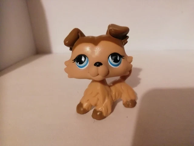 Lps collie shop for sale