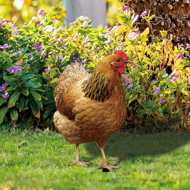 Garden Ornaments Sculptures Chicken Decorations Rooster Statues Yard Art Decor 2