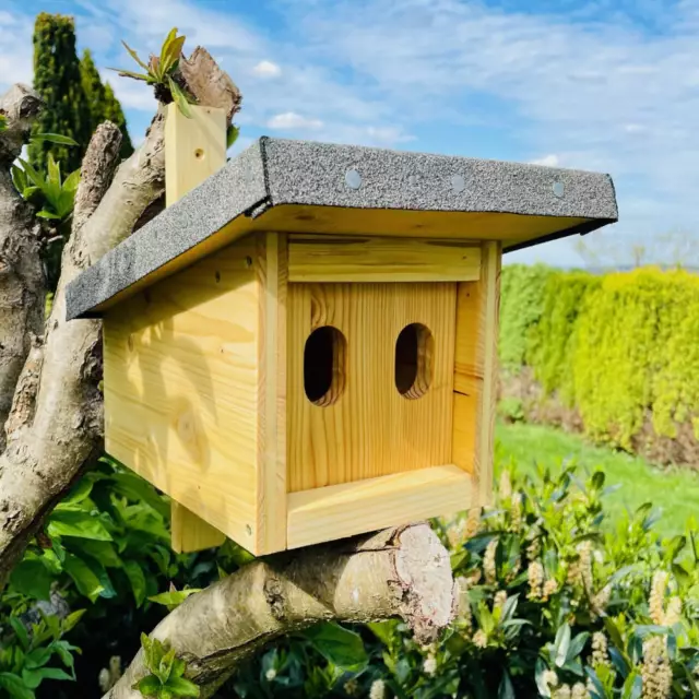 DARLUX Natur Holz Nistkasten mit Marderschutz für Hausrotschwanz Rotkehlchen 2