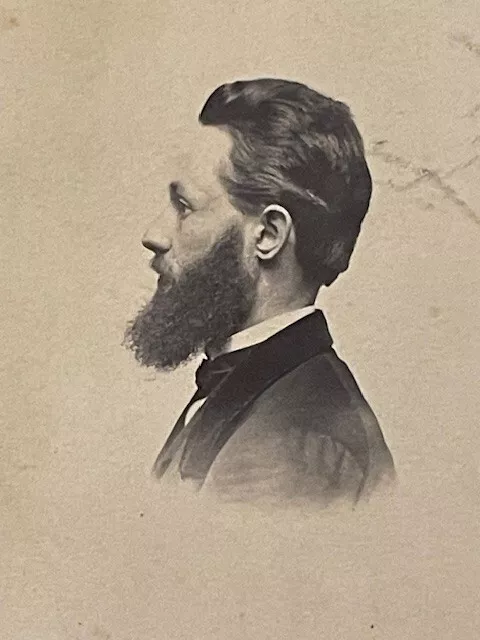 Antique CDV Side Pose Portrait of Man with Bushy Beard ~Coles' Photo Gallery ILL