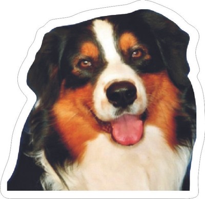Berger Berger Australien Magnet Aimant Chien avec Ardoise Magnétique Frigo Marqueur B9 