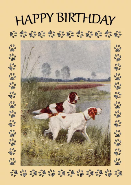 Irish Red And White Setter Two Dogs Dog Birthday Greetings Note Card