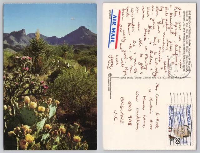 s25477 Big Bend National Park  Texas USA  postcard 1987 stamp