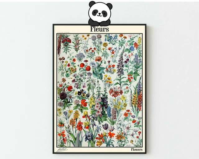 Vintage Flowers Poster, Adolphe Millot Print, Botanical Art A6 A5 A4 A3 A2 A1