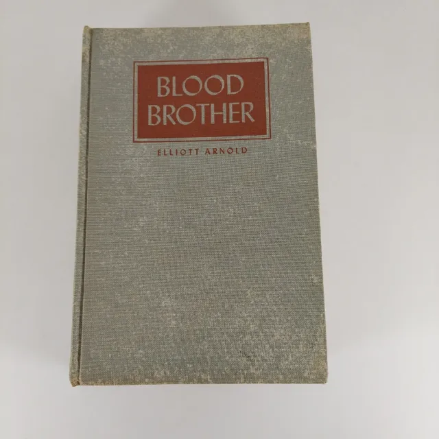 Blood Brother by Elliott Arnold 1963 Dale Nichols Illustrated Edition HC