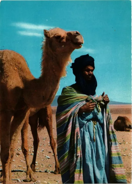 CPM AK The Blue Men of the Sahara MOROC (880883)