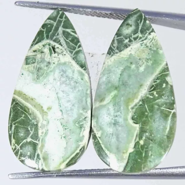 15.50Cts Natural Green Crazy Lace Agate Pear Pair Cabochon Loose Gemstone