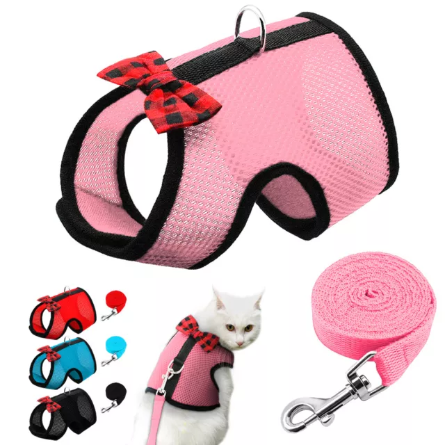 Cat Walking Harness & Lead Set Small Dog Mesh Vest for British Shorthair Kitten